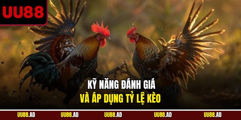 Kỹ năng đánh giá và áp dụng tỷ lệ kèo 