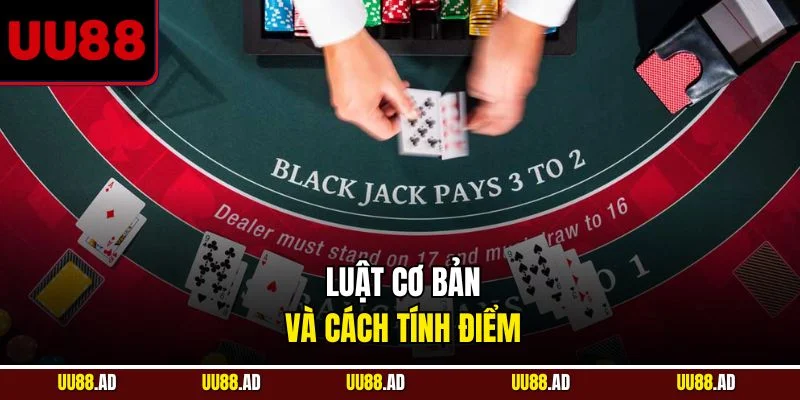 Luật cơ bản và cách tính điểm 